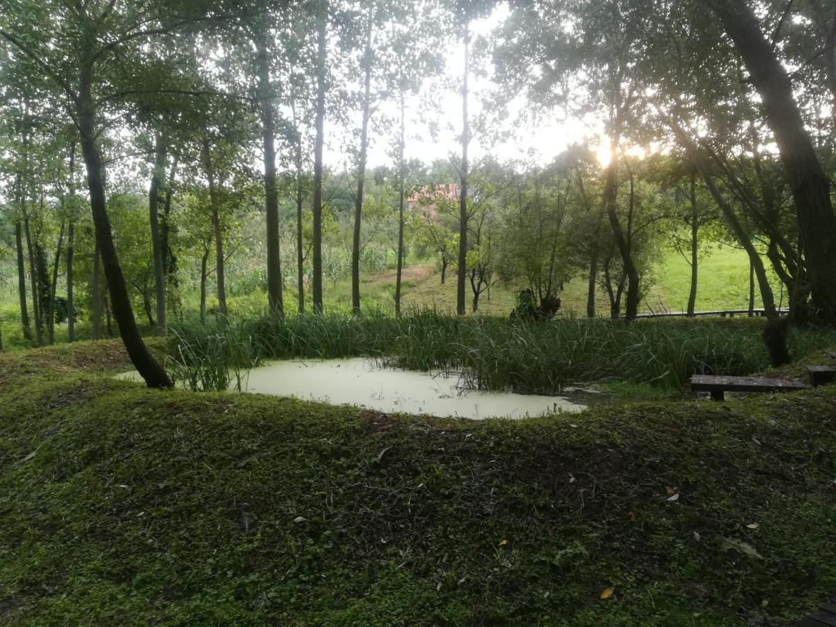 Mandelos Vila Davidovic-Fruska Gora מראה חיצוני תמונה
