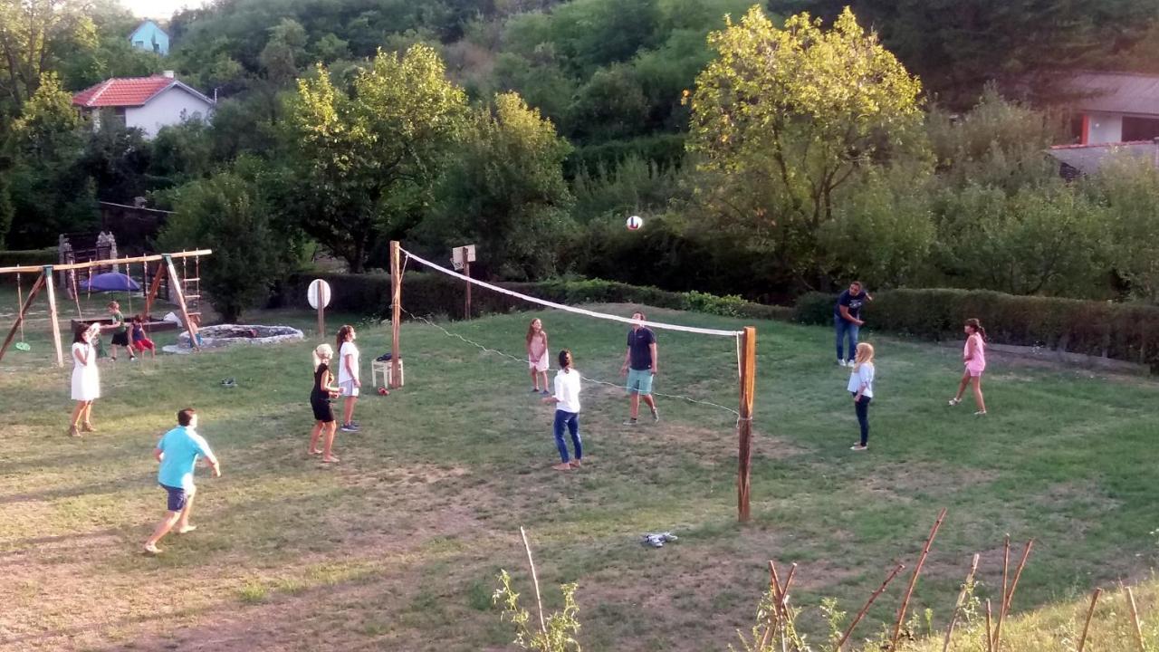 Mandelos Vila Davidovic-Fruska Gora מראה חיצוני תמונה