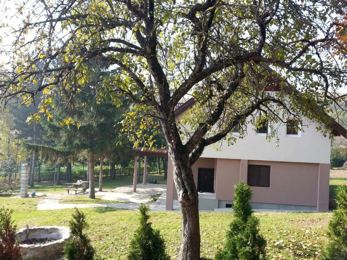 Mandelos Vila Davidovic-Fruska Gora מראה חיצוני תמונה